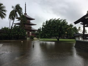 雨の浄土院